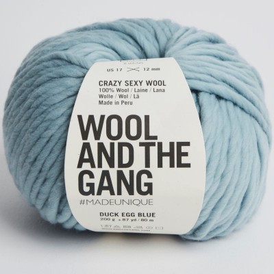 Wool and the Gang Crazy Sexy Wool										 - 150 Duck Egg Blue