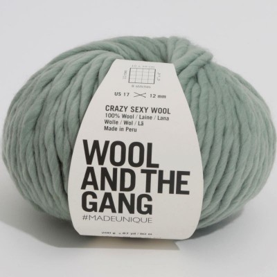 Wool and the Gang Crazy Sexy Wool										 - 33 Eucalyptus Green