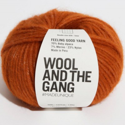 Wool and the Gang Feeling Good Yarn										 - 19 Cinnamon dust