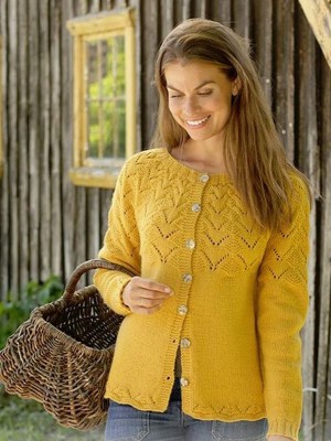 DROPS Golden Fairy Strickjacke - Deutschsprachige Anleitung										