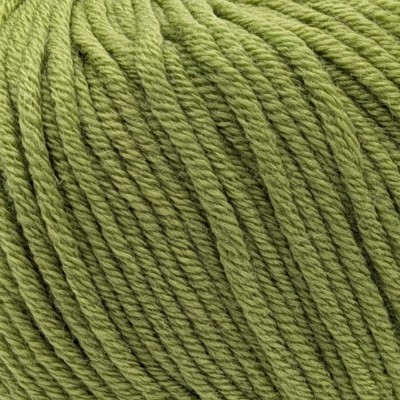 Laughing Hens Purely Merino Aran - Packung mit 5 x 50g										 - 3671 Spring Green