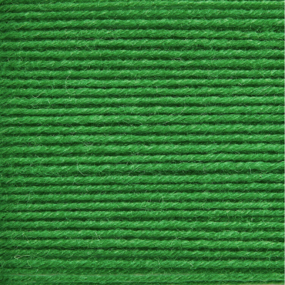 Rico Sockenwolle Premium 4 Ply										 - 010 Green