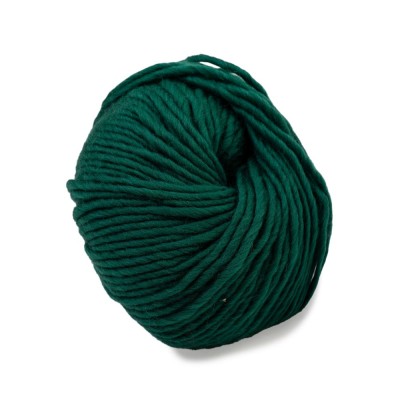 Laughing Hens Spectrum Super Chunky										 - 209 Yew