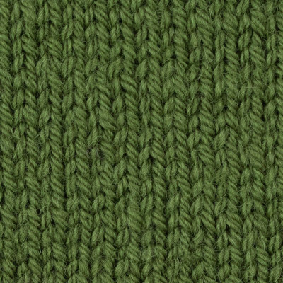 West Yorkshire Spinners ColourLab Aran										 - 1177 Moss Green