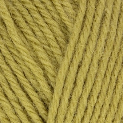 West Yorkshire Spinners Morris DK										 - 1283 Artichoke