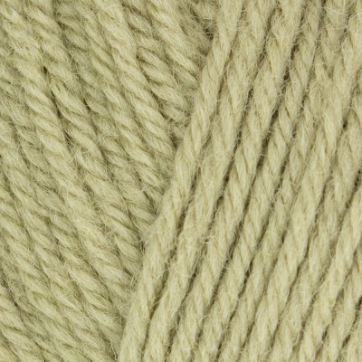 West Yorkshire Spinners Morris DK										 - 1284 Orchard