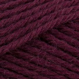 Patons Diploma Gold DK