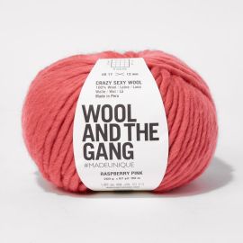 Wool and the Gang Crazy Sexy Wool