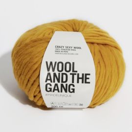 Wool and the Gang Crazy Sexy Wool