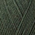 Regia 4 Ply 100g