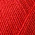 Regia 4 Ply 100g 02054 Hochrot