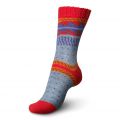 Regia Pairfect Design Line by Arne & Carlos 4 Ply Sock