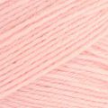 081 Rose
