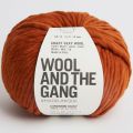 Wool and the Gang Crazy Sexy Wool 19 Cinnamon Dust