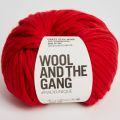 Wool and the Gang Crazy Sexy Wool