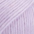 41 MIX Sweet Orchid