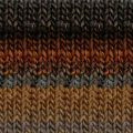 Noro Silk Garden