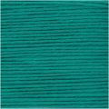 084 Alga