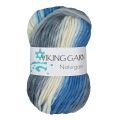 621 Multi Grey / Blue
