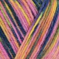 West Yorkshire Spinners Colour Lab DK 1031 Woodland Awakening