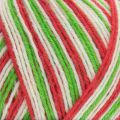 989 Candy Cane