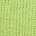 Wool and the Gang Alpachino Merino 0255 Lime Sorbet